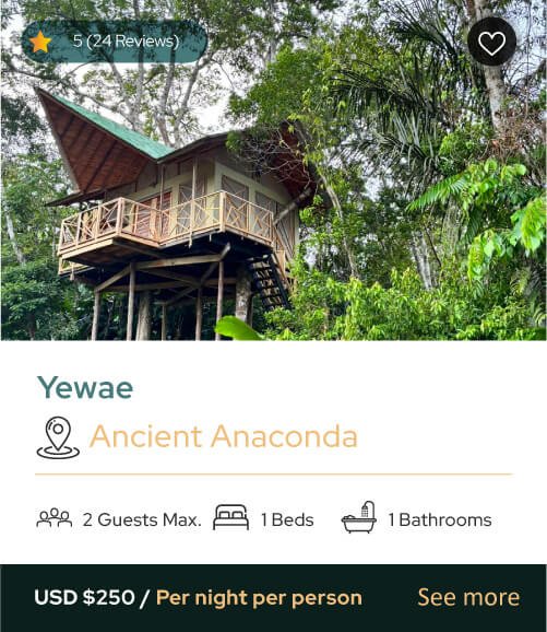 Burú Nature Hotel - Ecohabs en la selva amazónica – Hospedaje en casas en los árboles en Leticia, Colombia - Amazon rainforest ecohabs – Treehouse lodging in Leticia, Colombia
