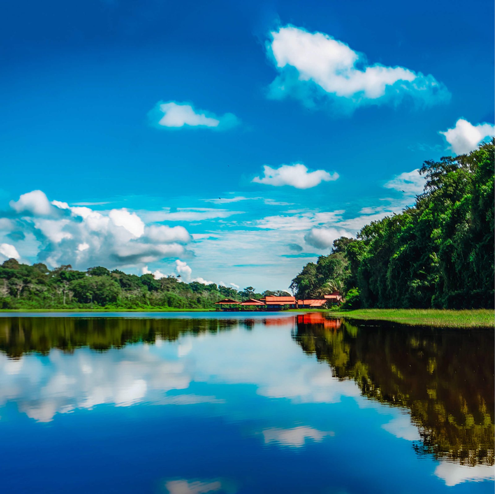 Marasha Naturaleza pura en la Amazonía peruana | Burú Nature Hotel | Burú Nature Hotel - Ecohabs en la selva amazónica – Hospedaje en casas en los árboles en Leticia, Colombia - Amazon rainforest ecohabs – Treehouse lodging in Leticia, Colombia