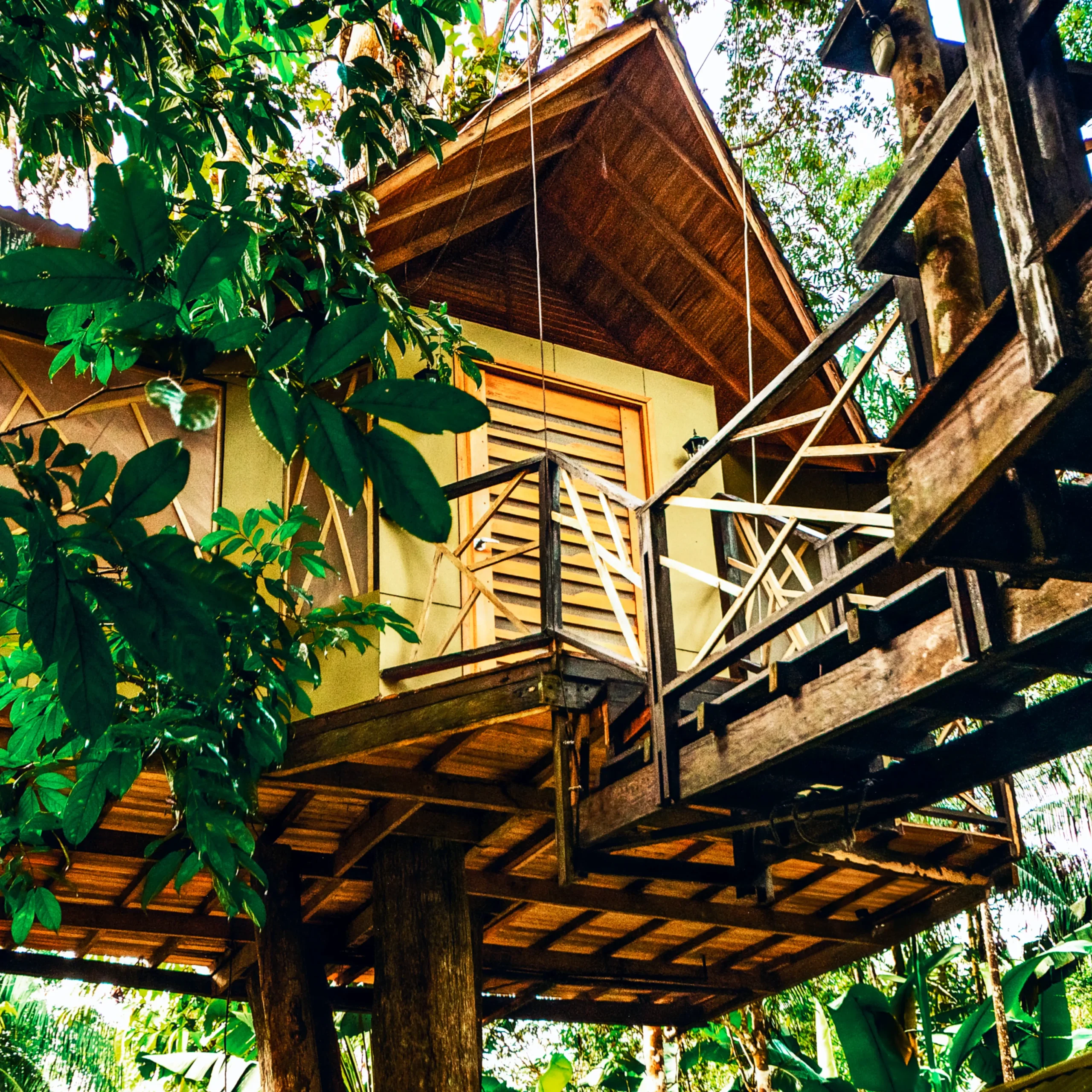 Hotel de lujo en el Amazonas Burú Nature Hotel en Leticia, Colombia, mostrando suites exclusivas en la selva y tours fluviales premium con Siempre Colombia. Amazon luxury hotel Burú Nature Hotel in Leticia, Colombia, featuring exclusive jungle suites and premium river tours with Siempre Colombia. Burú Nature Hotel Deluxe - WhatsApp 304 533 89 43 - en.burunaturehotel.com - @Burunaturehote - (https://en.burunaturehotel.com) l - Siempre Colombia - @SiempreCol Burú Nature Hotel - Ecohabs en la selva amazónica – Hospedaje en casas en los árboles en Leticia, Colombia - Amazon rainforest ecohabs – Treehouse lodging in Leticia, Colombia