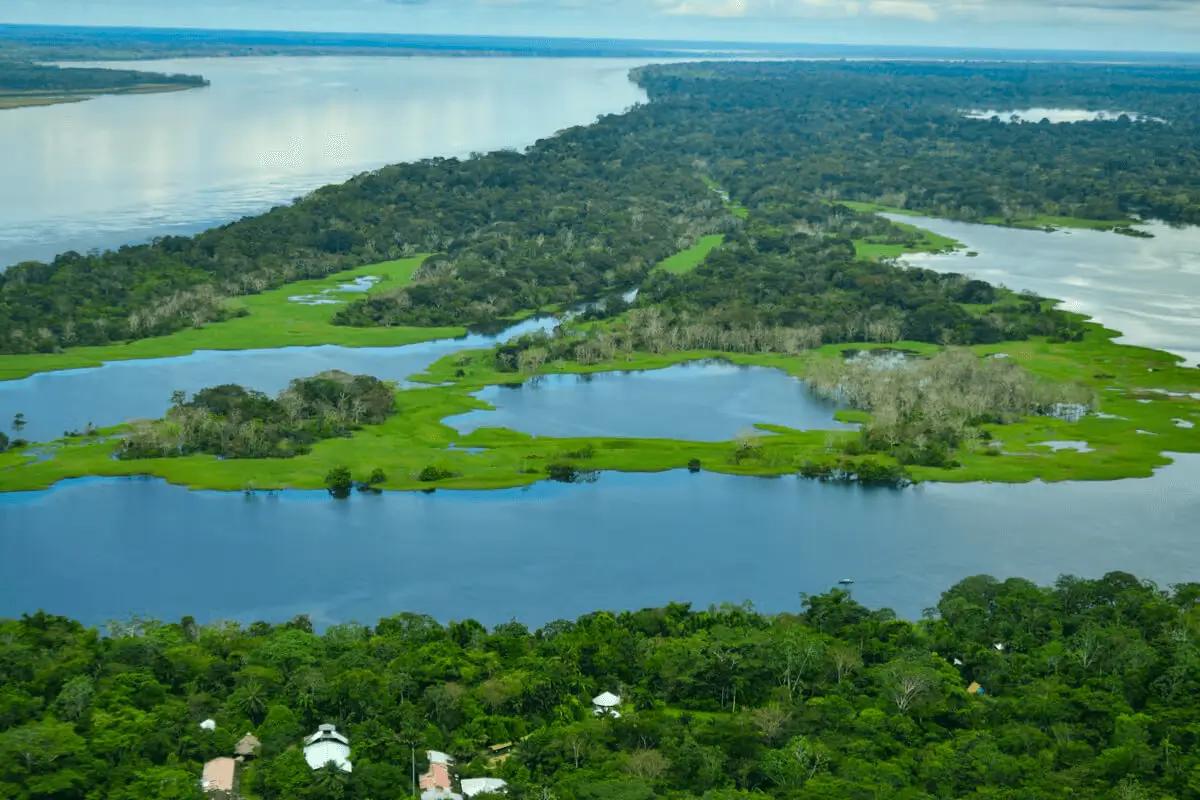 Hotel de lujo en el Amazonas Burú Nature Hotel en Leticia, Colombia, mostrando suites exclusivas en la selva y tours fluviales premium con Siempre Colombia. Amazon luxury hotel Burú Nature Hotel in Leticia, Colombia, featuring exclusive jungle suites and premium river tours with Siempre Colombia.