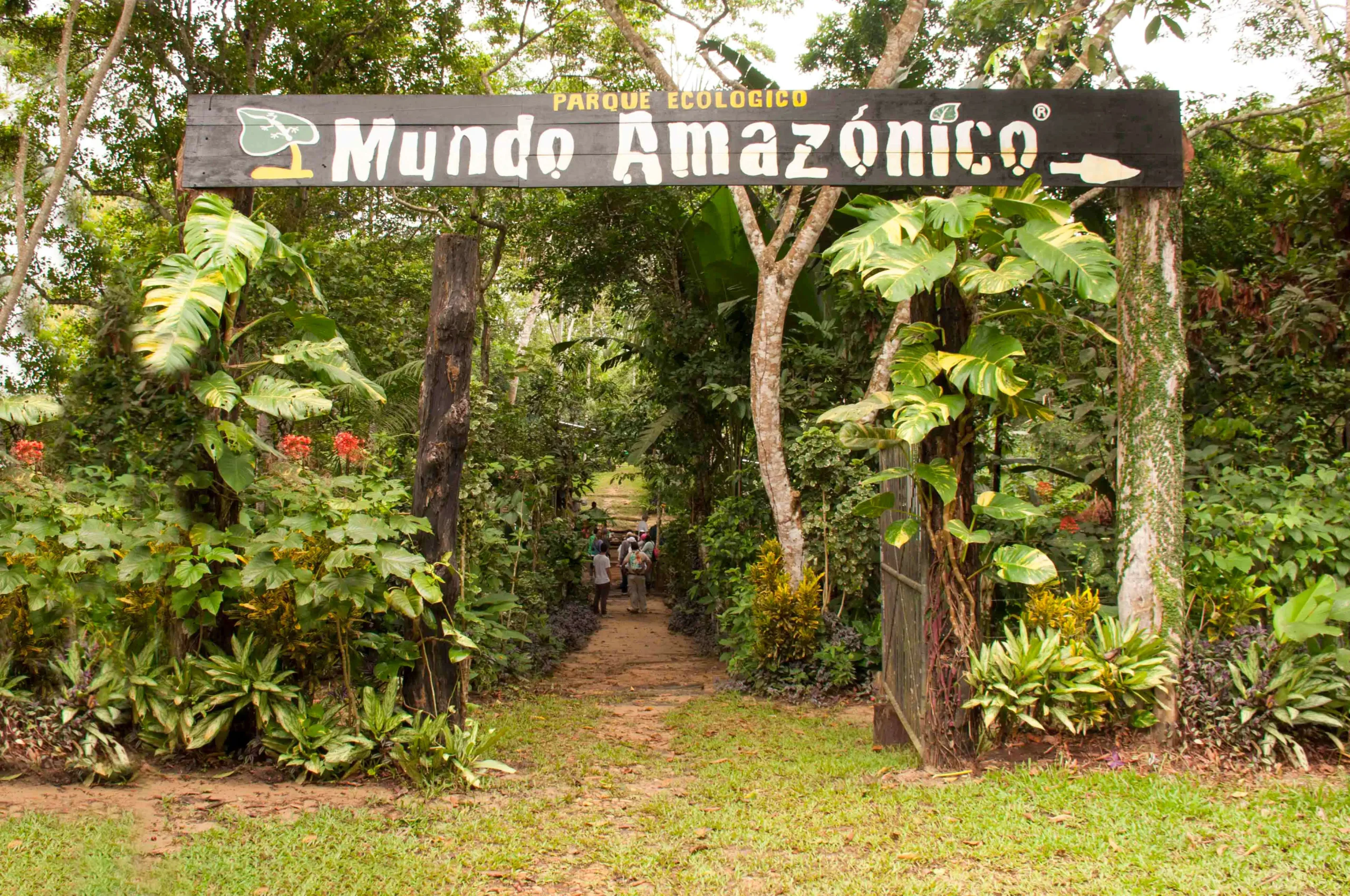 Hotel de lujo en el Amazonas Burú Nature Hotel en Leticia, Colombia, mostrando suites exclusivas en la selva y tours fluviales premium con Siempre Colombia. Amazon luxury hotel Burú Nature Hotel in Leticia, Colombia, featuring exclusive jungle suites and premium river tours with Siempre Colombia.
